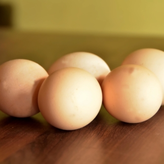 kadaknath eggs